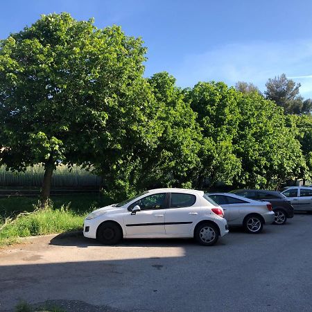 M&M I Navicelli Daire Livorno Dış mekan fotoğraf